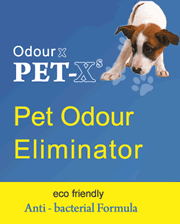 pet odour and urine removal