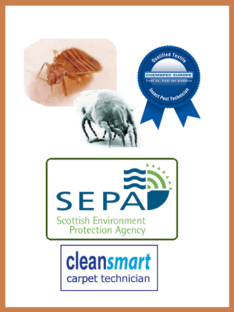 carpet beetles and moths